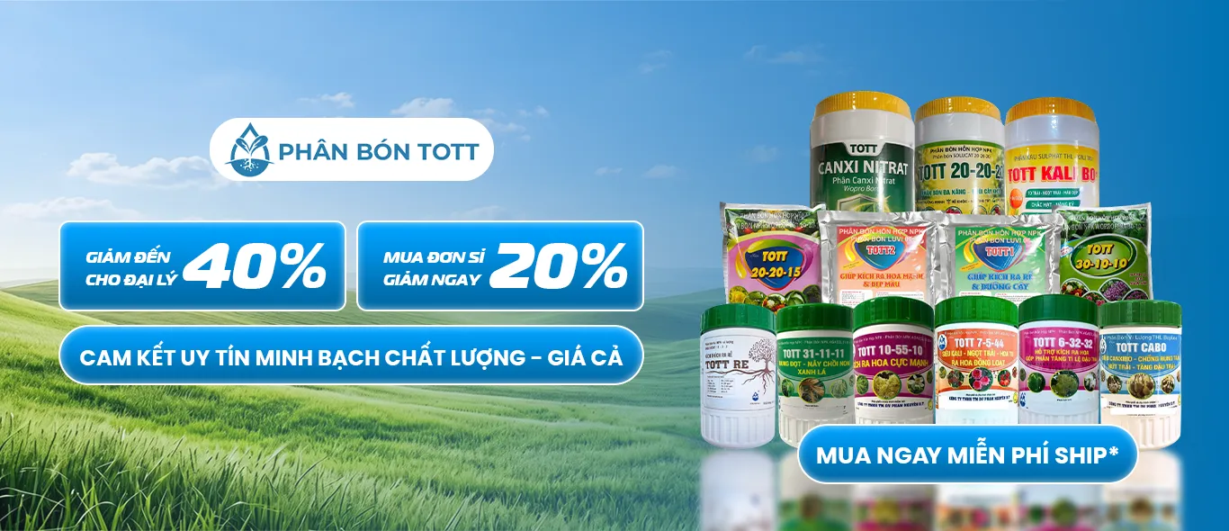 Phân-bón-cây-kiểng-phân-bón-tott