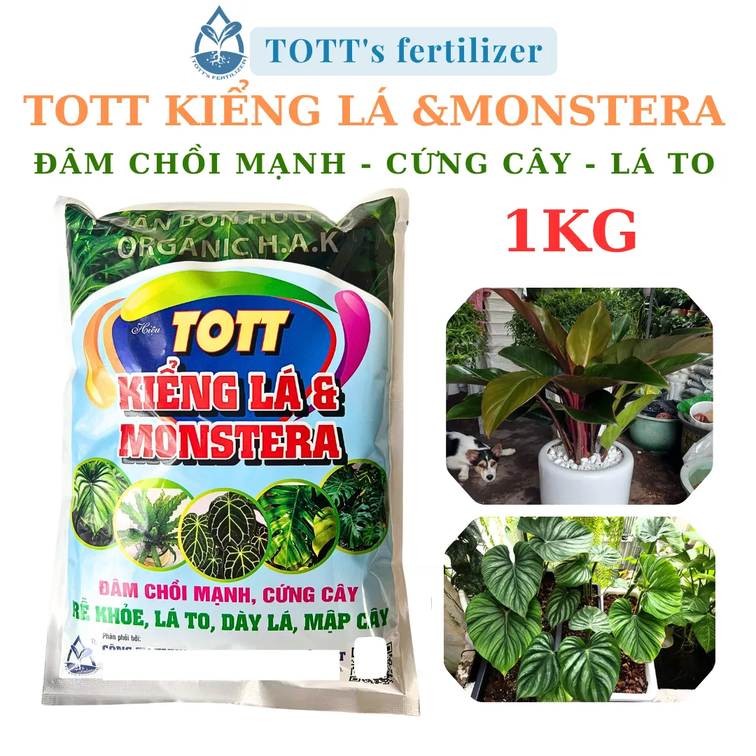Phân bón cây kiểng, dùng cho kiểng lá trong nhà và Monstera Gói 1kg TOTT's fertilizer