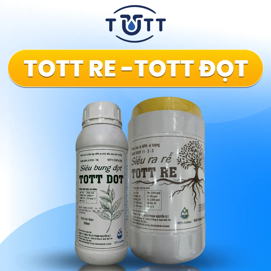 COMBO KÍCH RỄ CỰC MẠNH & BUNG ĐỌT THẦN TỐC TOTT'S FERTILIZER (TOTT RE 500G & TOTT DOT 500ML)
