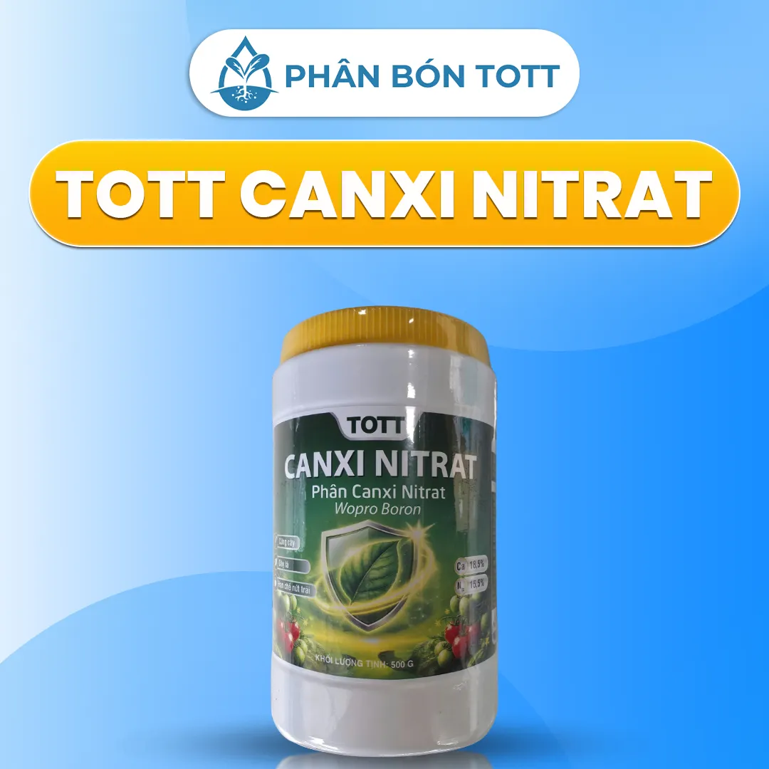 TOTT CANXI NITRAT PHÂN BÓN CHỐNG NỨT TRÁI
